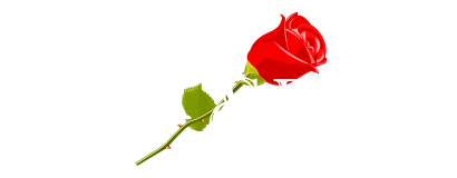 idGzr1n Sg 1767012650800